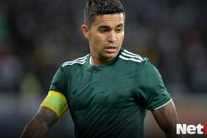 Dudu Palmeiras Libertadores Maior Campeao Brasil