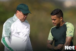 Campeonato Paulista Paulistao FPF Palmeiras Verdao Porco Maior Campeao Brasil Luxemburgo Dudu