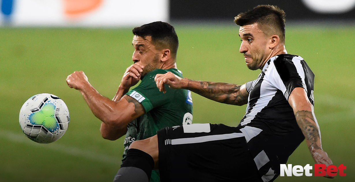 brasileirao botafogo goias