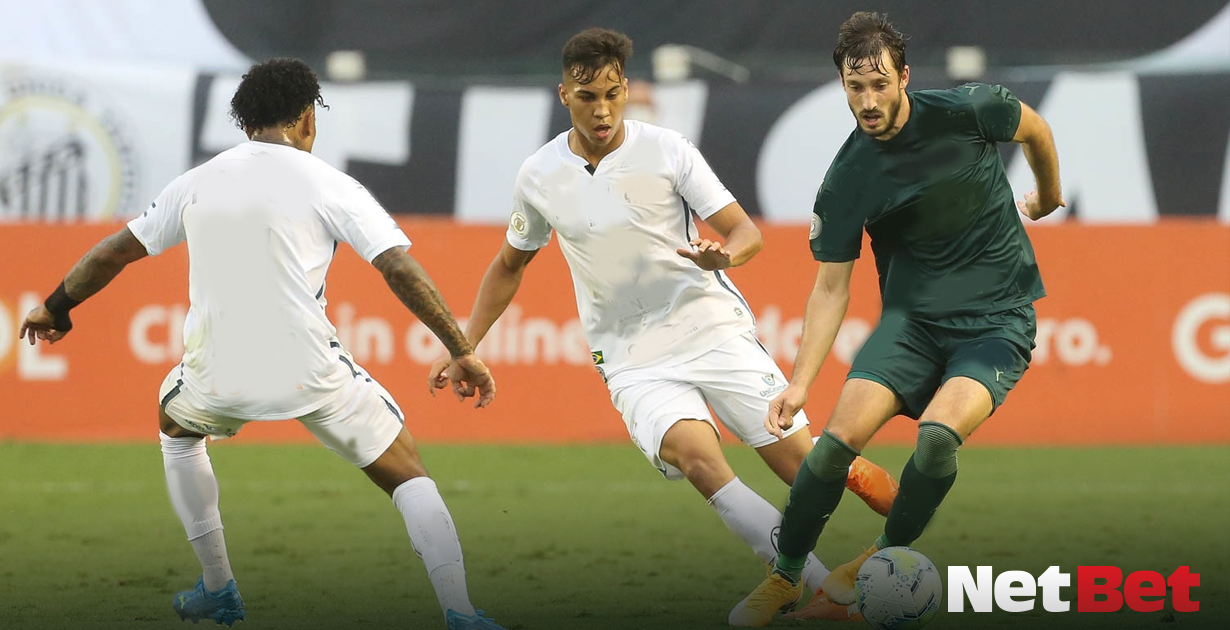 Final da Libertadores Palmeiras e Santos