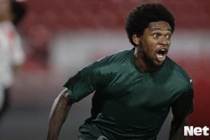 palmeiras e santos semifinais libertadores luiz adriano