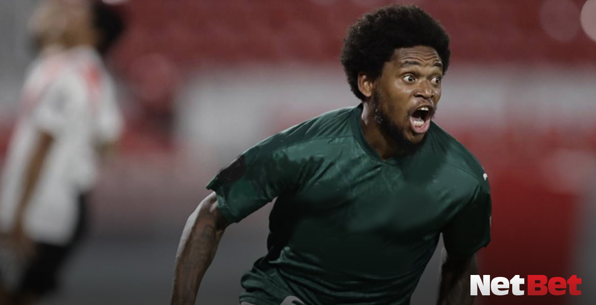 palmeiras e santos semifinais libertadores luiz adriano