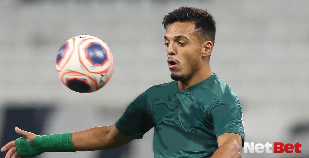 palmeiras e santos gabriel menino libertadores