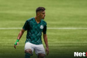 Palmeiras Verdao Alviverde Gabriel Menino