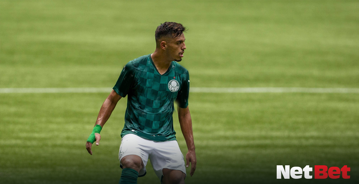 Palmeiras Verdao Alviverde Gabriel Menino