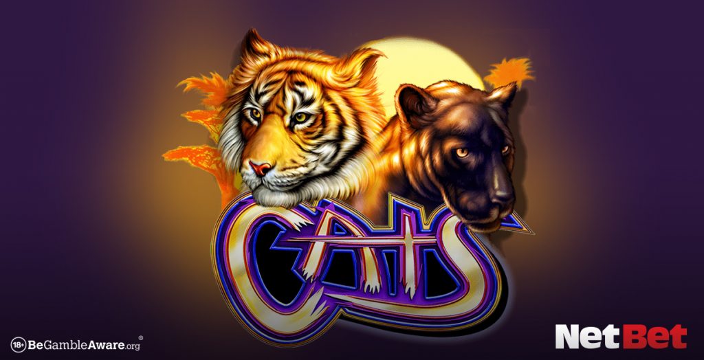 Play the bets African themed slot games here at NetBet Casino
